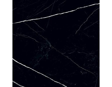 BLACK PULPIS POL 598*598
