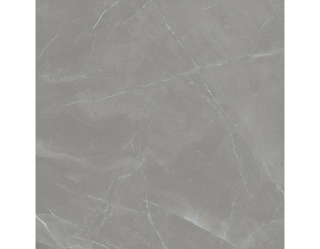 Grey Pulpis Sat  119,8*119,8