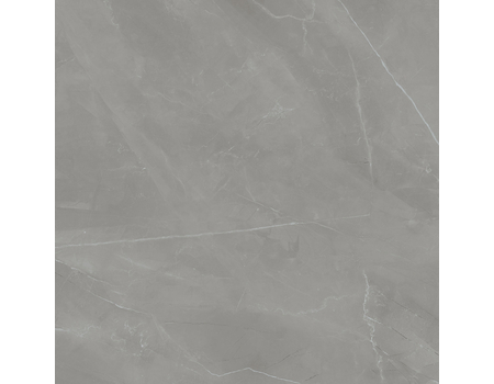 Grey Pulpis Pol 119,8*119,8