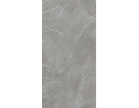 Grey Pulpis Sat  119,8*239,8