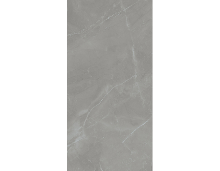 Grey Pulpis Pol  119,8*59,8