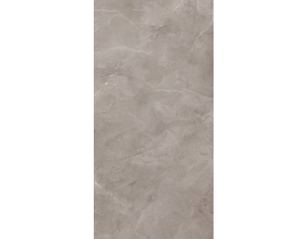 Harmonic Grey Pol  59,8*119,8