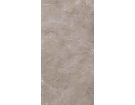 Harmonic Grey Pol 119,8*239,8
