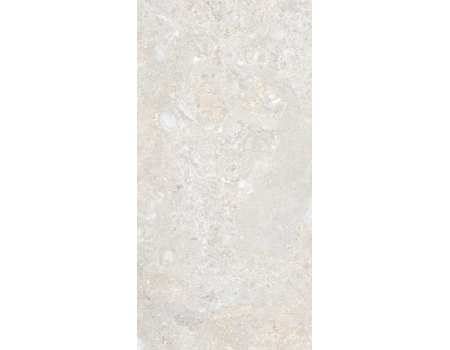 Tizziano ivory MAT 119,8x59,8