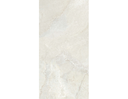Cadet ivory MAT 119,8x59,8