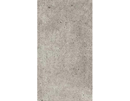 SILVER STONE DF RECTIFIED 60*120