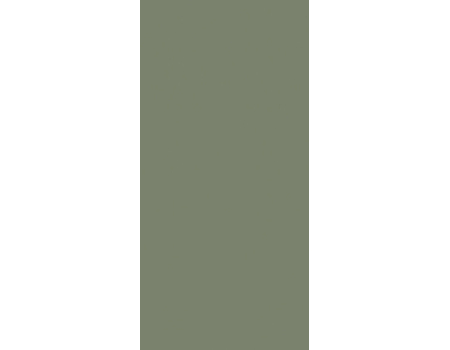 CIELO E TERRA VERDE MAT  1198*598