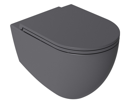Infinity WC+Toilet Seat  Anthracite Matt
