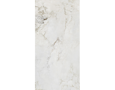Shellstone white POL 119,8x274,8