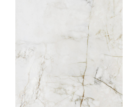 Shellstone white POL 59,8*59,8