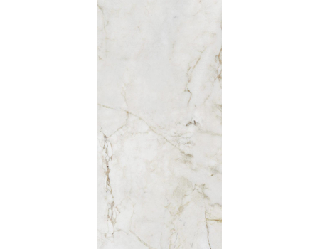 Shellstone white POL 119,8*59,8