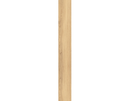 Mountain Ash gold STR 179,8x23