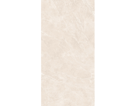 Swan Bone RNP 120*280