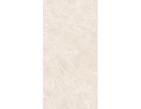 Swan Bone RNP 60*120