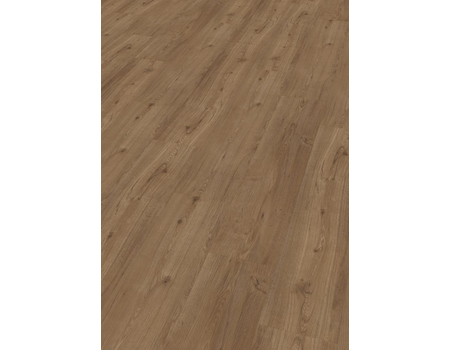 SPC Project  Oak 5001