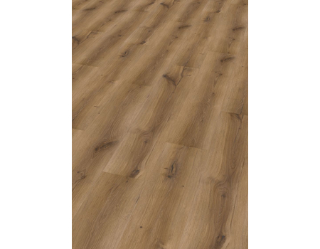 SPC Project  Oak 5002