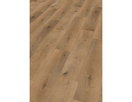 SPC Project  Oak 5003