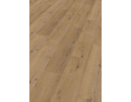 SPC Project  Oak 5004