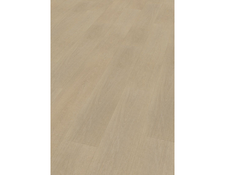 SPC Project  Oak 5005