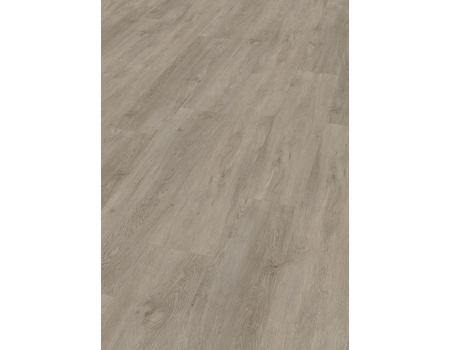 SPC Project  Oak 5200