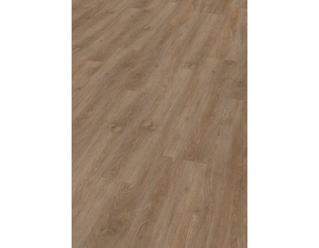 SPC Project  Oak 5300