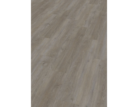 SPC Project  Oak 5600