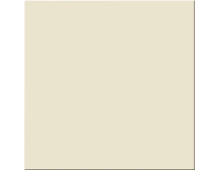 Pastel S-Latte Mat 20*20