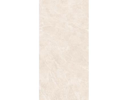 Swan Bone RNP 60*120