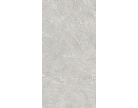 Swan Grey RNP 60*120