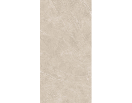 Swan Latte RNP 60*120