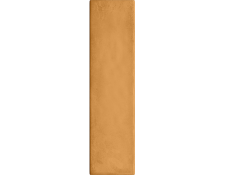 Masovia Senape A Gloss STR 29,8*7,8