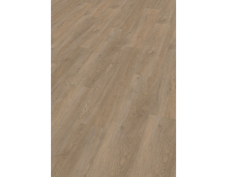 SPC Project  Oak 5100