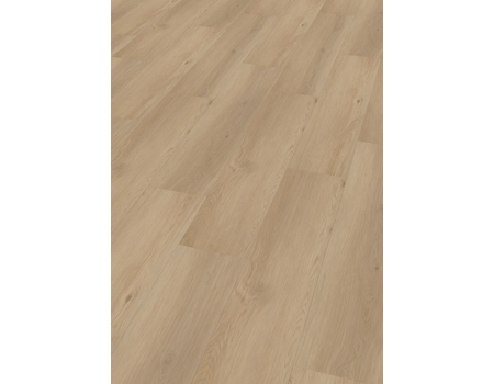 SPC Project  Oak 5006