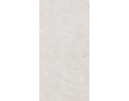 Swan Light Grey RNP  60*120