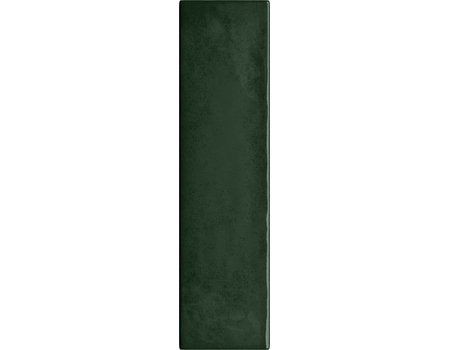 Masovia Verde C Gloss STR 29,8*7,8