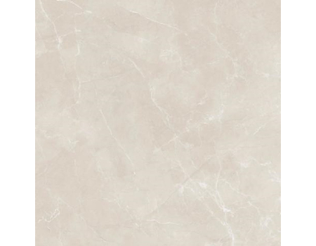 Pulpis Prime Light Grey MAT 120*120