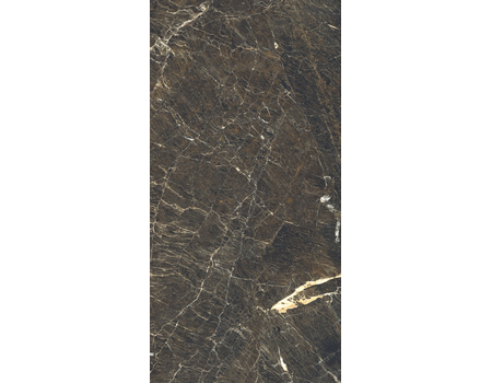 DUKE STONE POLISHED 1198*2398