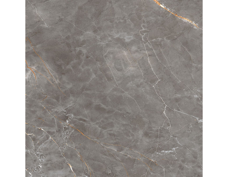 SHINESTONE GREY POL 798*798