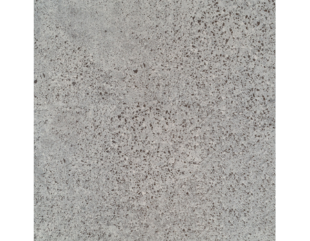 OTIS GRAPHITE 598*598