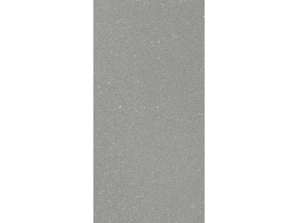 URBAN SPACE GRAPHITE MATT 1198*598