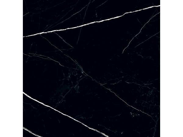 BLACK PULPIS POL 598*598