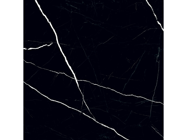BLACK PULPIS POL 598*598