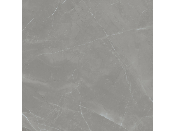 Grey Pulpis Sat  119,8*119,8