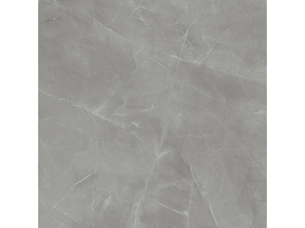 Grey Pulpis Sat  119,8*119,8