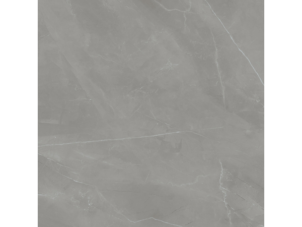Grey Pulpis Sat  119,8*119,8