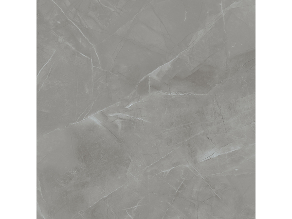 Grey Pulpis Sat  119,8*119,8