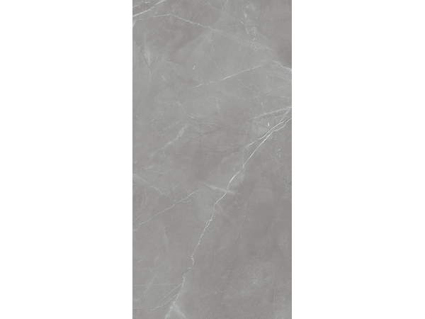 Grey Pulpis Pol  119,8*59,8