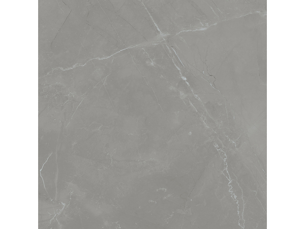 Grey Pulpis Pol 59,8*59,8
