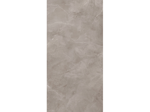 Harmonic Grey Pol  59,8*119,8