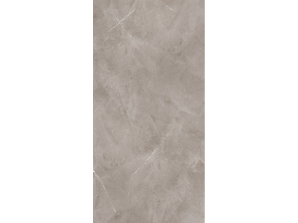 Harmonic Grey Pol  59,8*119,8